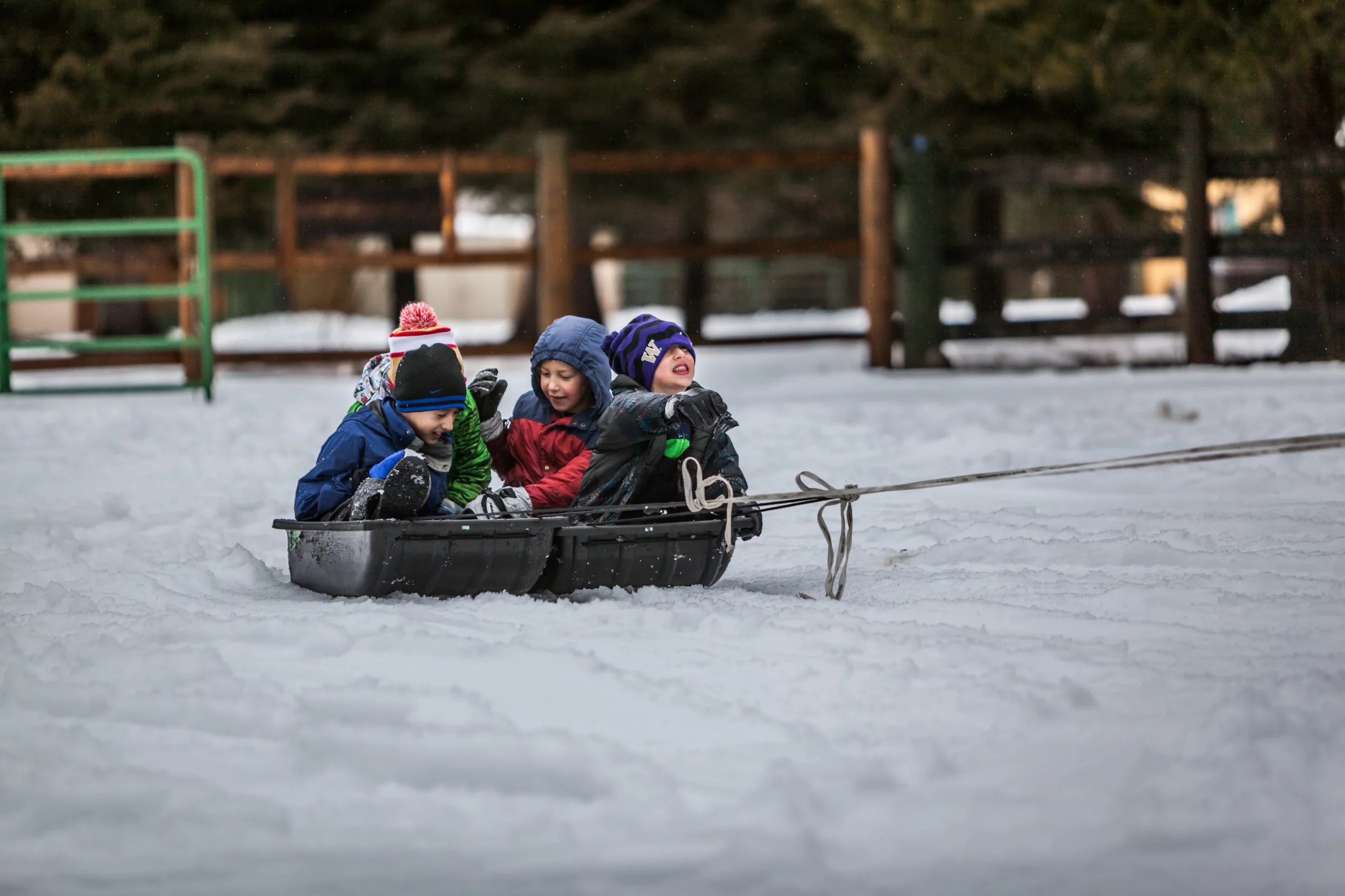 Winter Sports