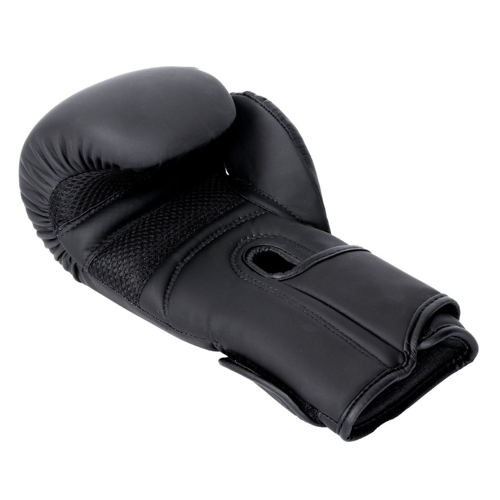 BBE Boxing Sparring/Bag Boxing Gloves